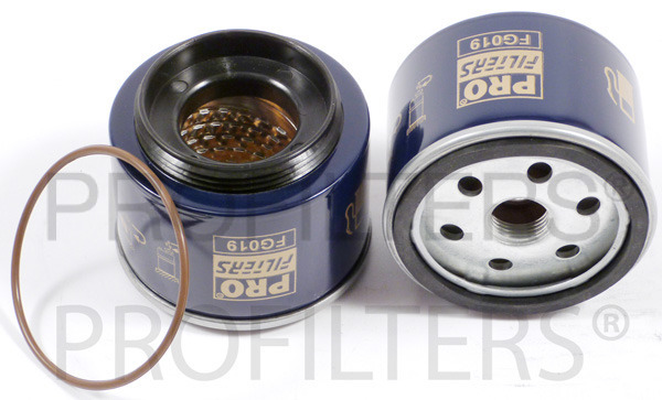 FG019